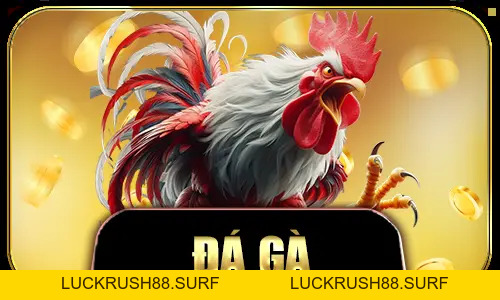 King88 - Sảnh Game Cá Cược King88 Online Uy Tín - Nhận Ngay 88K! - LUCKRUSH88.SURF