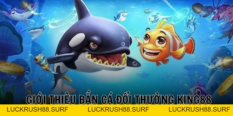 Bắn Cá King88 - Chinh Phục Ba Sảnh Game Săn Cá Hấp Dẫn - luckrush88.surf - LUCKRUSH88.SURF