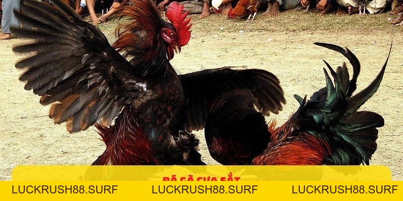 BLOG KING88 - luckrush88.surf - LUCKRUSH88.SURF