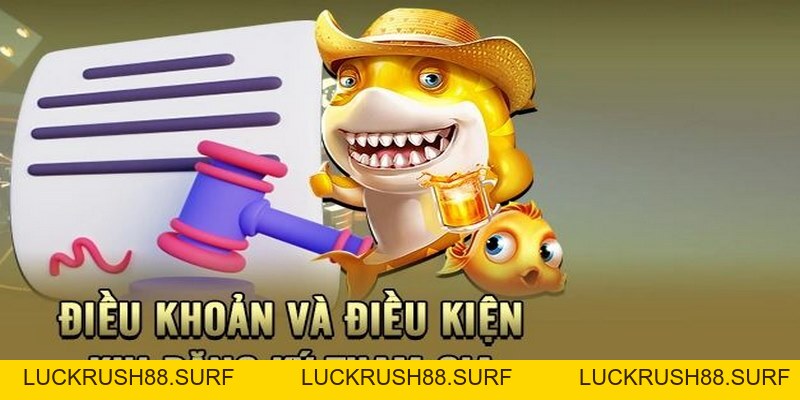 Điều Khoản Và Điều Kiện - Hoàn Thiện Sân Chơi Online King88 - luckrush88.surf - LUCKRUSH88.SURF